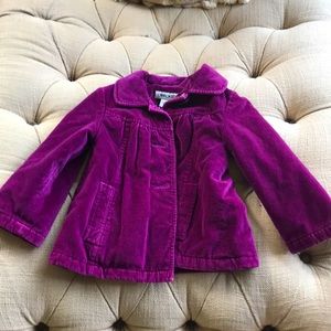 3T purple velvet coat